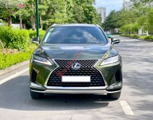 Xe Lexus RX 300 2022