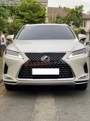 Xe Lexus RX 300 2021