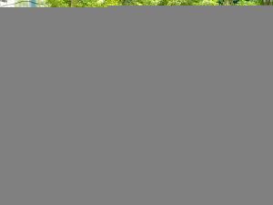 Xe Kia Carnival Signature 2.2D 2021