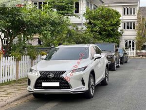 Xe Lexus RX 300 2021