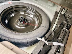 Xe Volkswagen Viloran Luxury 2024