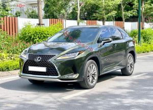 Xe Lexus RX 300 2022