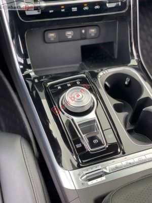 Xe Kia Carnival Signature 2.2D 2023