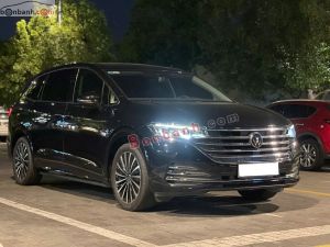 Xe Volkswagen Viloran Luxury 2024