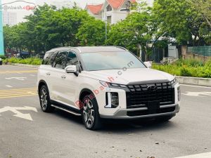 Xe Hyundai Palisade Prestige 2.2 AT HTRAC 2024