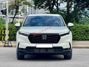 Xe Honda CRV L 2026