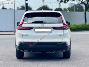 Xe Honda CRV L 2026