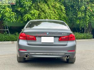 Xe BMW 530i Luxury Line 2019
